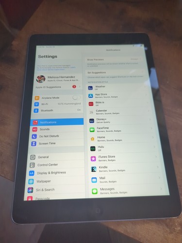 Apple ipad air 1st gen - apple,