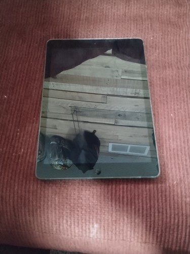 Apple ipad air - ipad,